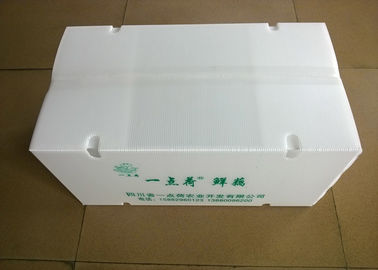 Scatole di plastica pieghevoli con i fori a circolazione d'aria per il trasporto delle verdure
